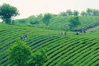 HAI đặt mục tiêu lãi 45 tỷ đồng trong năm 2014